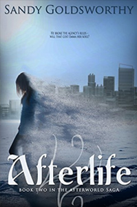 afterlife-an-aftermath-novella-the-afterworld-saga-by-sandy-goldsworthy